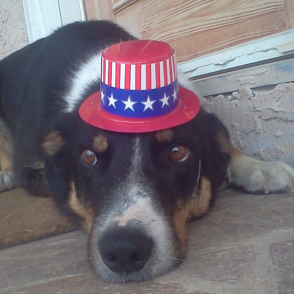 Meet your Posher, Ellie